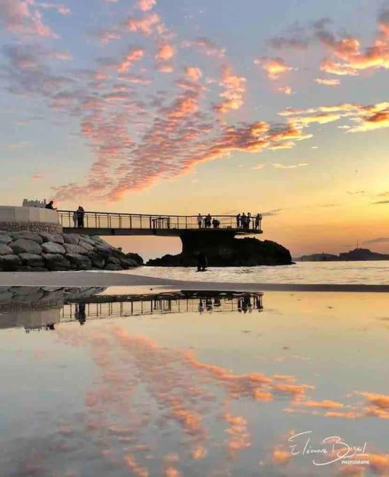 Plage Des Catalans/Vieux Port مارسيليا المظهر الخارجي الصورة